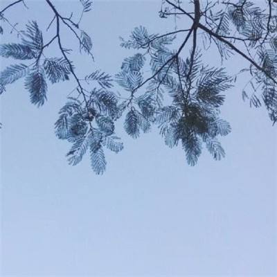 小小的幻想最新版下载