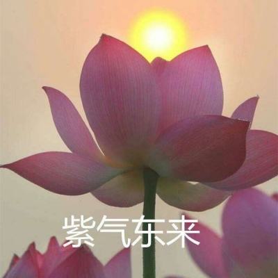 幻剑神魔无限金币版下载